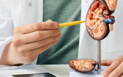 Why Early Detection by a Kidney Doctor Saves Lives
